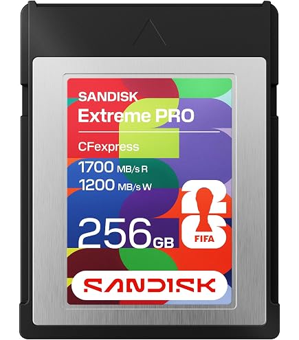 Amazon.com: SANDISK 256GB CFexpress Type B Card – FIFA World Cup